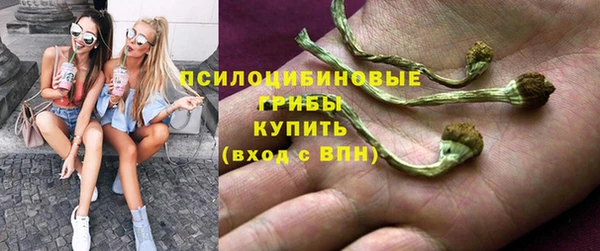 марихуана Абаза